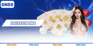 Blackjack DN88