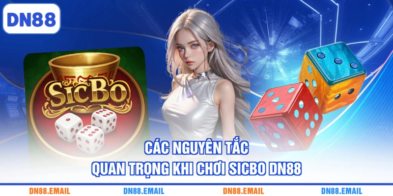 Các nguyên tắc quan trọng khi chơi Sicbo DN88