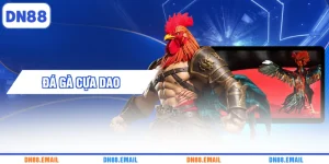 Đá gà cựa dao