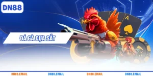 Đá gà cựa sắt