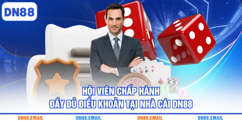Hội viên chấp hành đầy đủ điều khoản tại nhà cái DN88