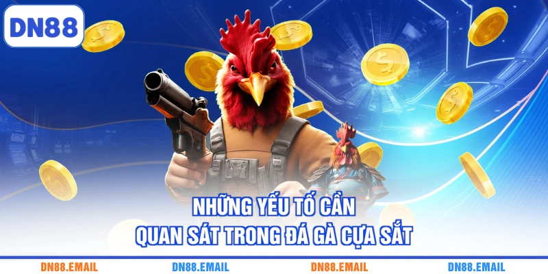 Những yếu tố cần quan sát trong đá gà cựa sắt