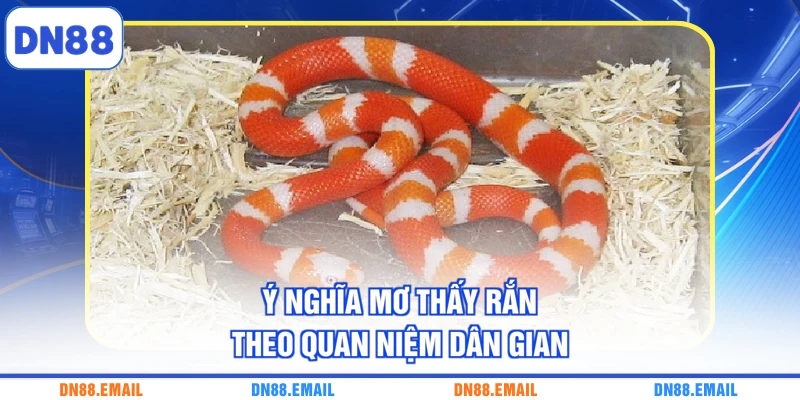 Ý nghĩa mơ thấy rắn theo quan niệm dân gian